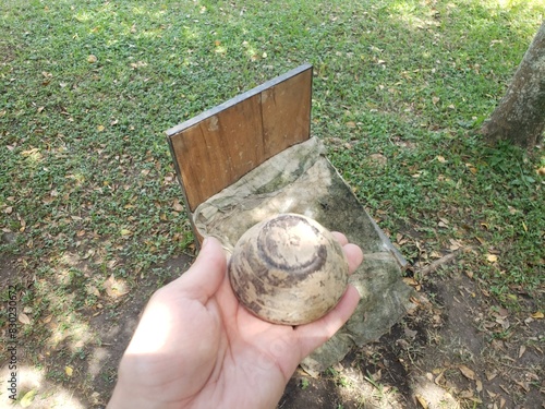 Wallpaper Mural Colombian tejo game, also known as turmeque, is a traditional throwing sport in Colombia Torontodigital.ca
