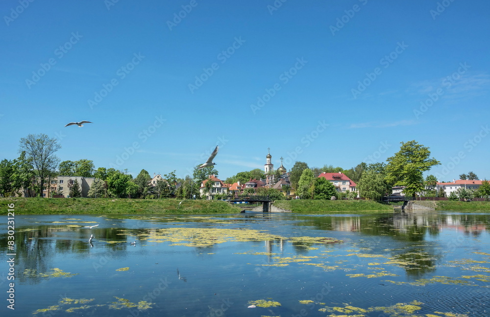 Pond in the Amalienau area in Kaliningrad Pond in the Amalienau area in Kaliningrad