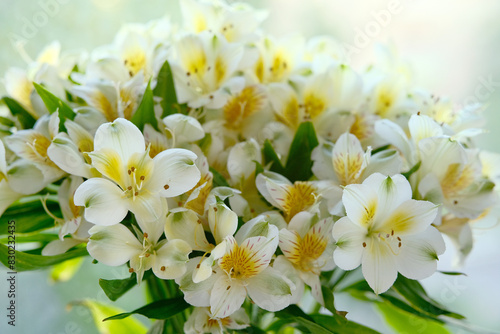 Beautiful alstroemeria bouquet close-up. Awesome flower background.