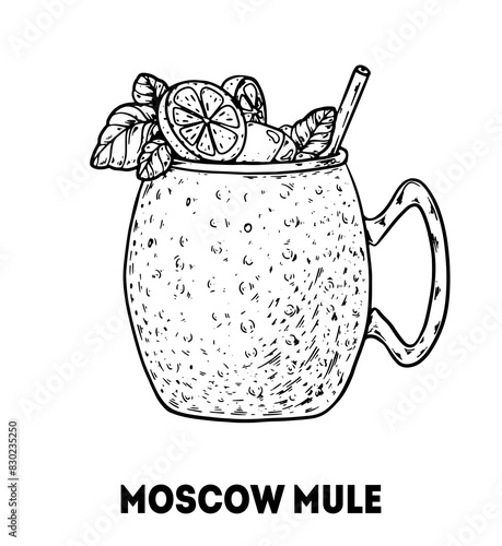 Moscow mule cocktail illustration. Hand drawn sketch. Vector illustration. Isolated object.