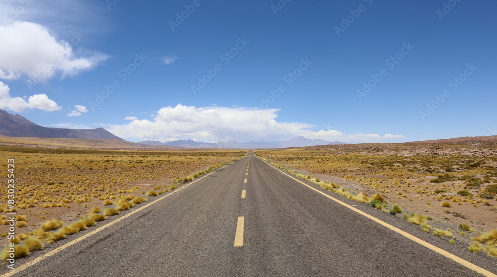 Panaroma View of the road between San Pedro de Atacama and the Laguna Miscanti in Chile Panaroma View of the road between San Pedro de Atacama and the Laguna Miscanti in Chile