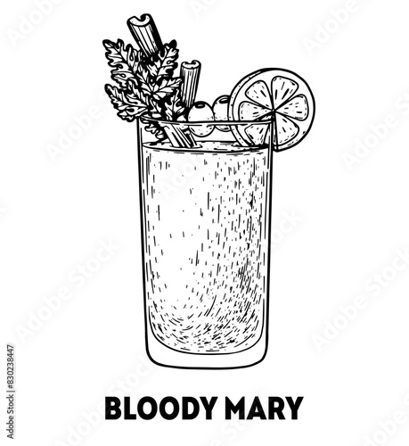 Bloody mary cocktail illustration. Hand drawn sketch. Vector illustration. Isolated object.