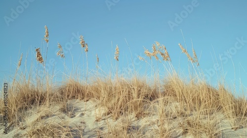 View from the base of a sand hill under a clear sky with tall grass photo