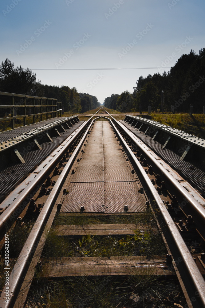 Naklejka premium railway tracks in the countryside