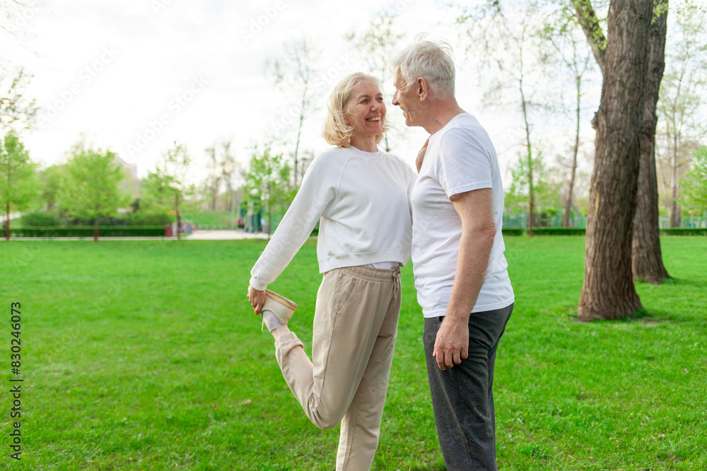 elderly couple of seniors man and woman doing exercises and training in the park outdoors, gray-haired grandparents playing sports and active lifestyle in nature elderly couple of seniors man and woman doing exercises and training in the park outdoors, gray-haired grandparents playing sports and active lifestyle in nature