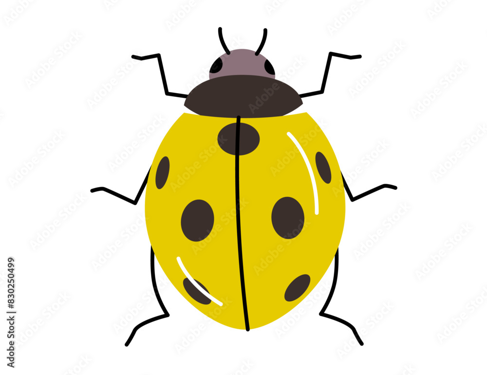 Yellow ladybug with black spots. Cute insect cartoon illustration isolated on white background. Design for greeting card, invitation, and poster. Yellow ladybug with black spots. Cute insect cartoon illustration isolated on white background. Design for greeting card, invitation, and poster.