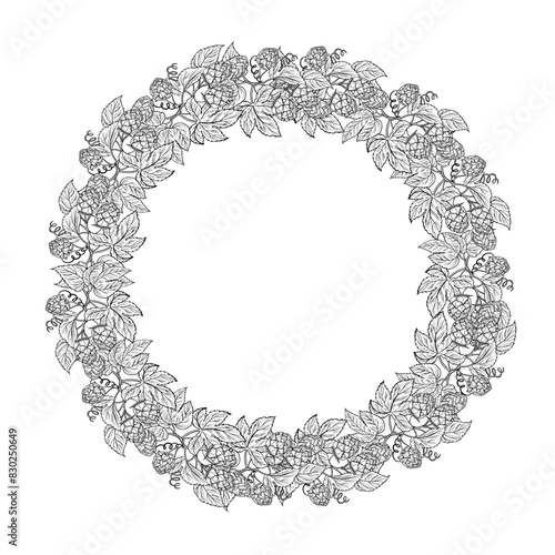 The border frame is round with branches of hops. An ingredient for brewing. An illustration with black and white vector graphics drawn by hand. For the design of labels, packages, posters oktoberfest.