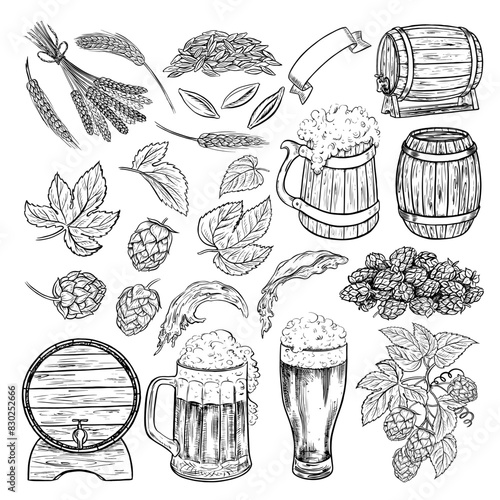A set with beer elements. Wooden barrels and beer mugs, malt and hops. Hand-drawn illustrations with black and white vector graphics. Clipart for the design of labels, packages, oktoberfest posters.