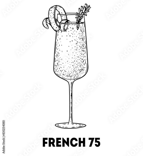 French 75 cocktail illustration. Hand drawn sketch. Vector illustration. Isolated object.