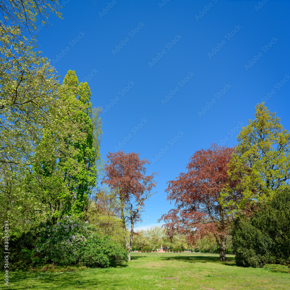Blick von Südosten auf den denkmalgeschützten Rathenaupark von Hennigsdorf bei Berlin im Frühling, im Hintergrund der sowjetische Ehrenfriedhof Blick von Südosten auf den denkmalgeschützten Rathenaupark von Hennigsdorf bei Berlin im Frühling, im Hintergrund der sowjetische Ehrenfriedhof
