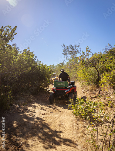 Off-road riding in the desert in Baja on ATVs. 