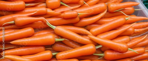 Orange carrots in grocery market. Fresh vegetables