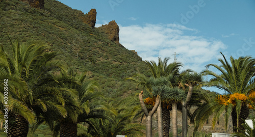 Beautiful tropical landscape in a warm country with palm trees against mountains and blue sky in the background