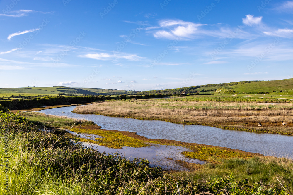 Wetland in the Cuckmere Valley on a sunny spring evening