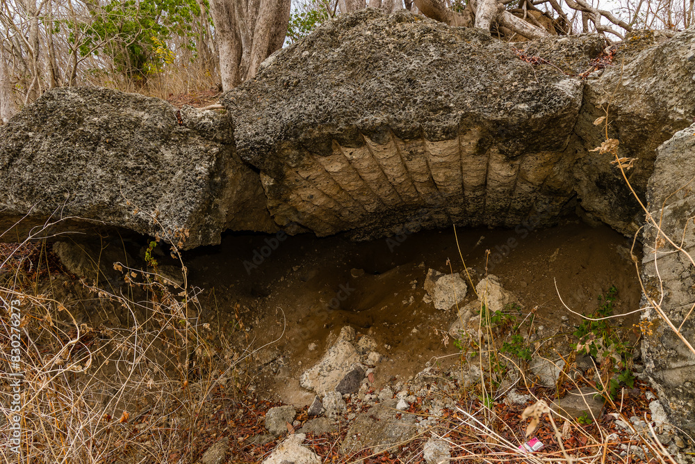 Fototapeta premium Overgrown remains of a tunnel leading towards a Japanese World War 2 machine gun emplacement on Gili Trawangan, Indonesia