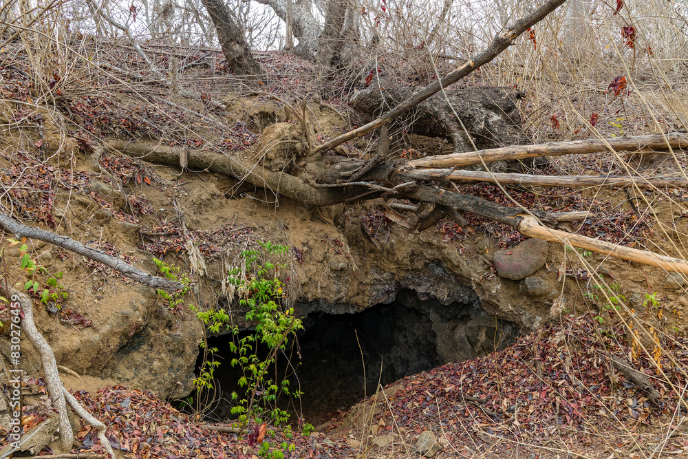 Overgrown remains of a tunnel leading towards a Japanese World War 2 machine gun emplacement on Gili Trawangan, Indonesia