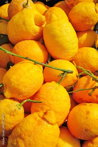 View of fresh Amalfi lemons on the Amalfi Coast in Italy © eqroy