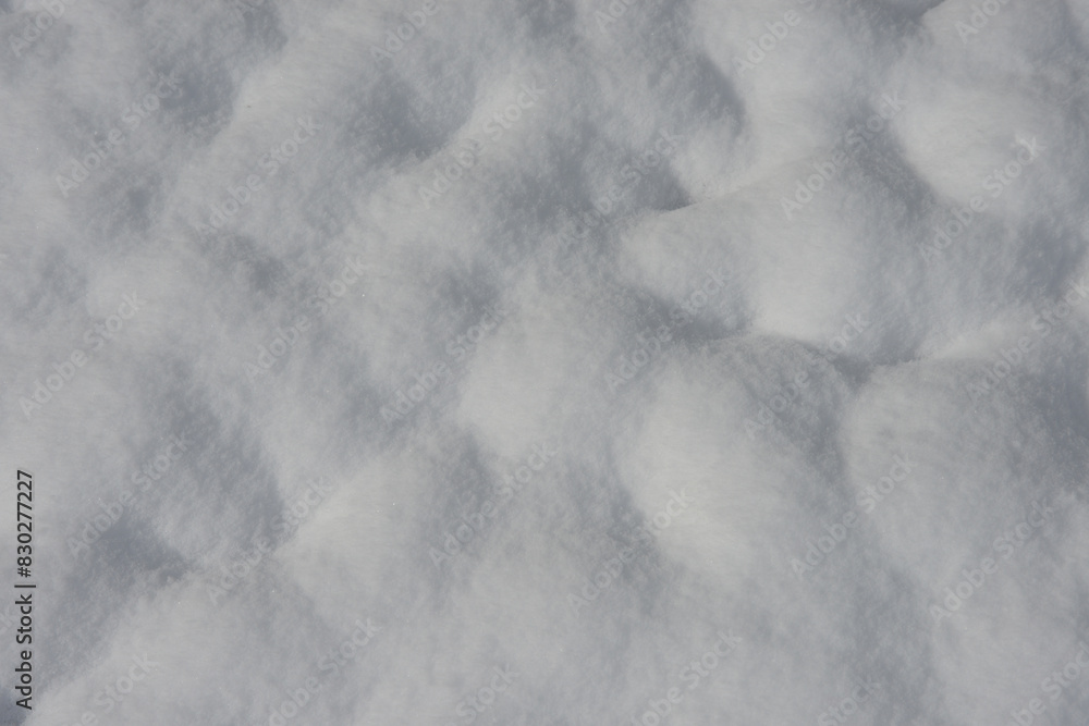 Fototapeta premium 雪肌