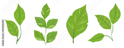 featuring eight different types of green leaves. Each leaf showcases unique shapes and vein patterns. graphic is simple, clean, and vibrant, ideal for nature-themed designs and eco-friendly projects