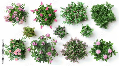 Top view of various potted plants, Generative AI © studioclever