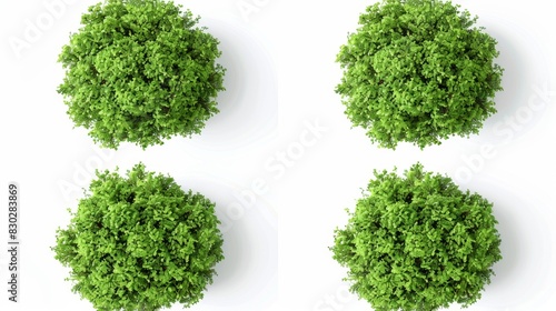 Top View of Four Green Bushes  Generative AI