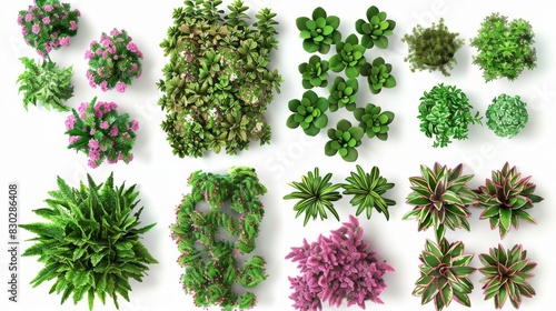 Various Green and Flowering Plants Arrangement  Generative AI