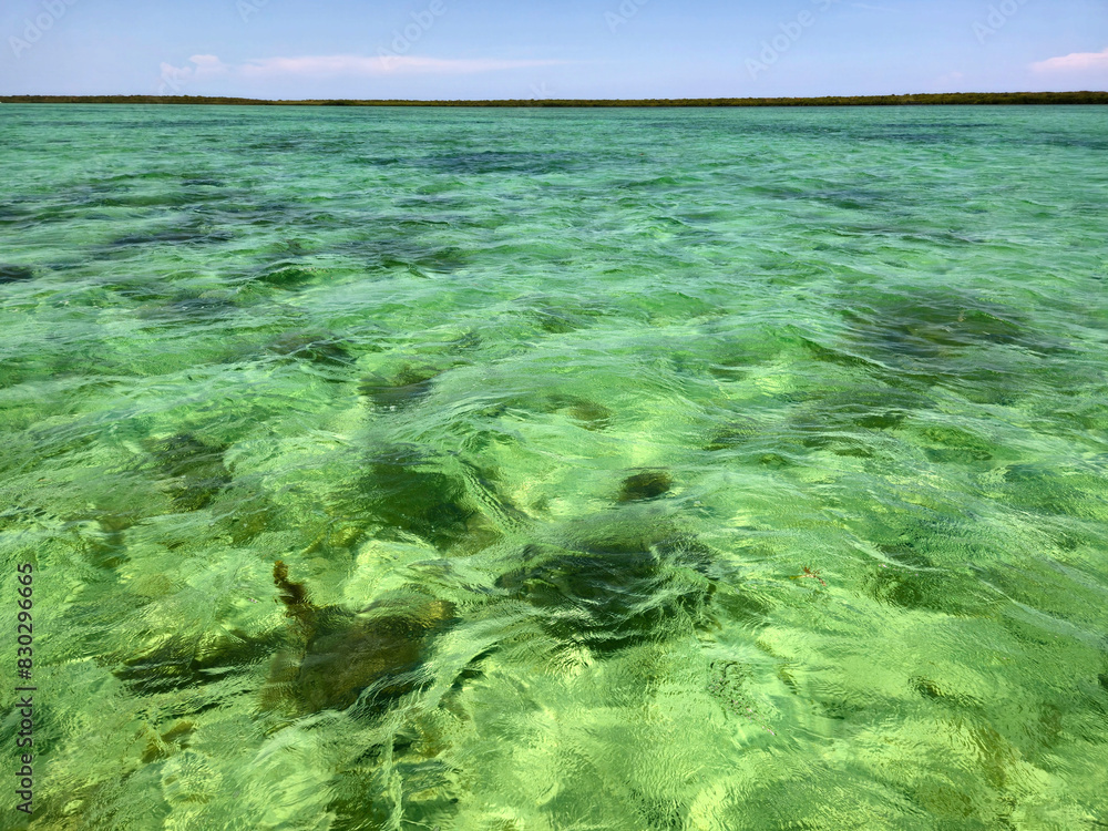 Fototapeta premium Clear waters of Biscayne National Park, Florida on clear sunny summer afternoon.