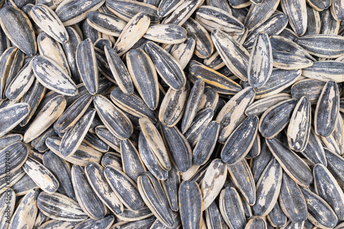 Obraz na plátně Semillas de pipas de girasol sin pelar en primer plano, nutritivas y saludables