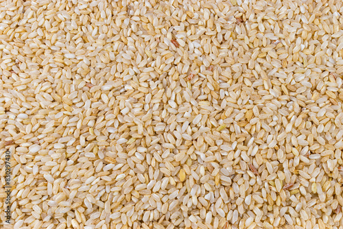Fondo arroz integral crudo, cereal en primer plano