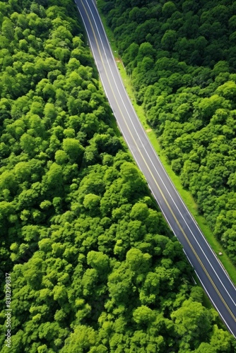 road in the middle of the forest aerial view Generative AI © Valentine