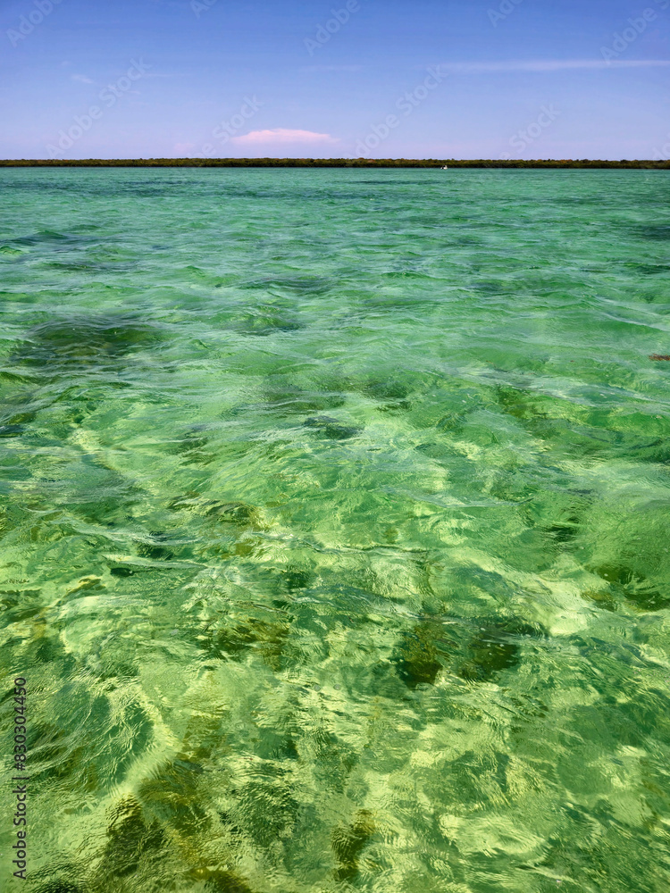 Obraz na plátně Clear waters of Biscayne National Park, Florida on clear sunny summer afternoon
