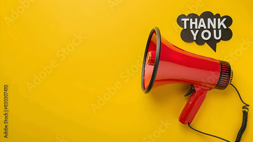 megaphone with speech bubble "THANK YOU" on yellow background © fanii