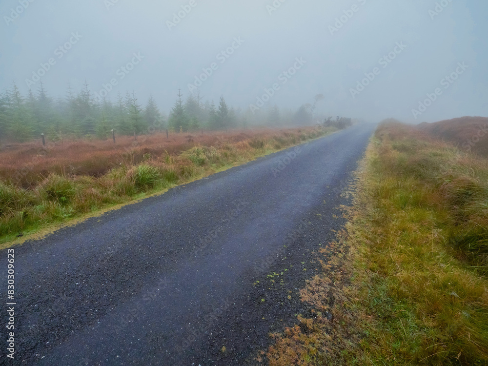 A small country foggy road with trees in the background. Dangerous driving conditions. Rural area in Ireland. Nature scene with mist. Nobody. A small country foggy road with trees in the background. Dangerous driving conditions. Rural area in Ireland. Nature scene with mist. Nobody.