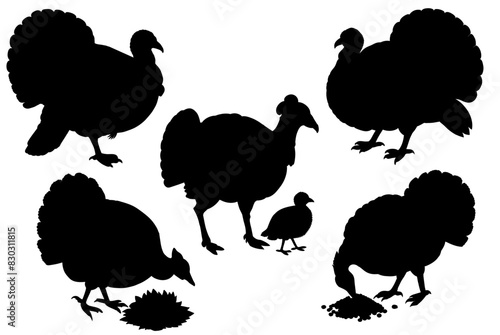 Vintage style illustration set of a turkey in black and white, monochrome silhouette collection for agricultural and livestock themes, farming and retro linocut logo style