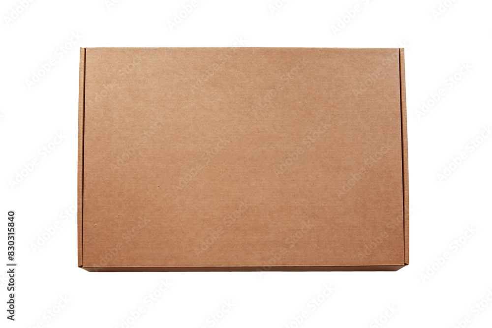 Brown cardboard box for packaging, isolated on a spruce background, as a chalon. Concept of packaging, shipping, postal services. Brown cardboard box for packaging, isolated on a spruce background, as a chalon. Concept of packaging, shipping, postal services.