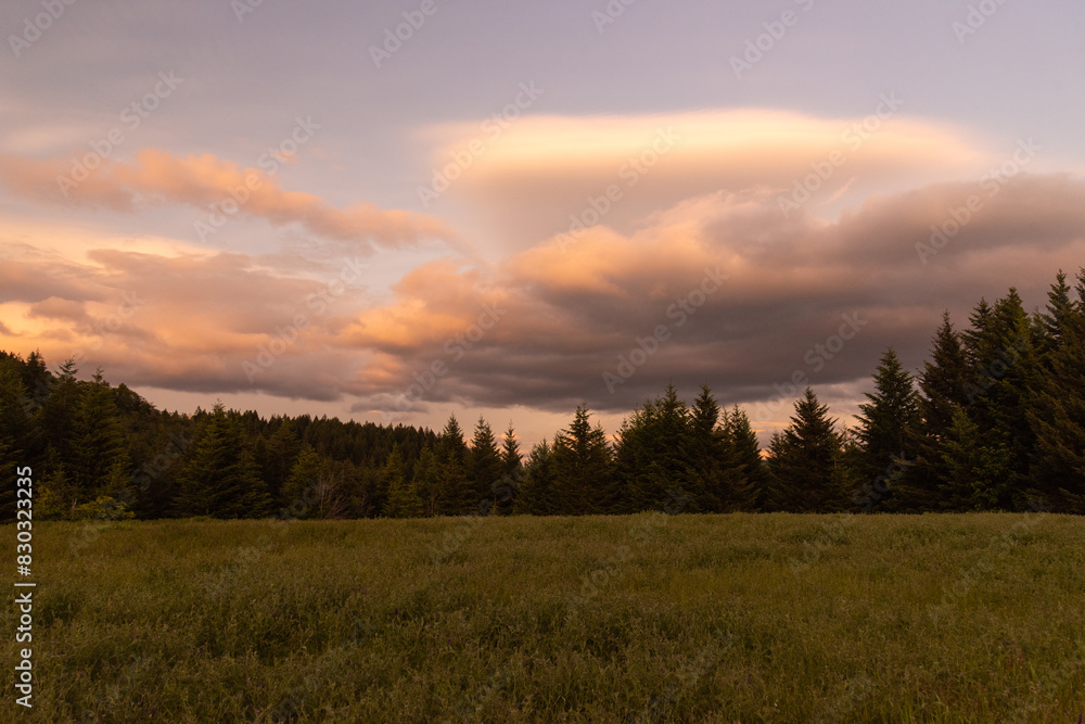 Dramatic clouds at sunset over grassy field and trees in the foothills of the Columbia Gorge, Washington Dramatic clouds at sunset over grassy field and trees in the foothills of the Columbia Gorge, Washington