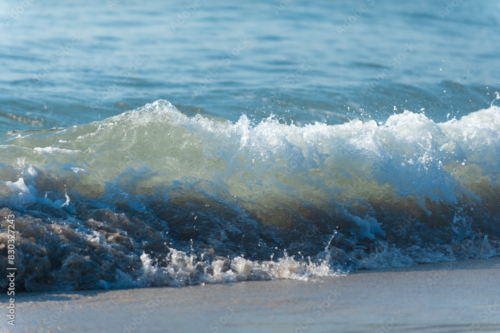 Obraz premium 砂浜と波