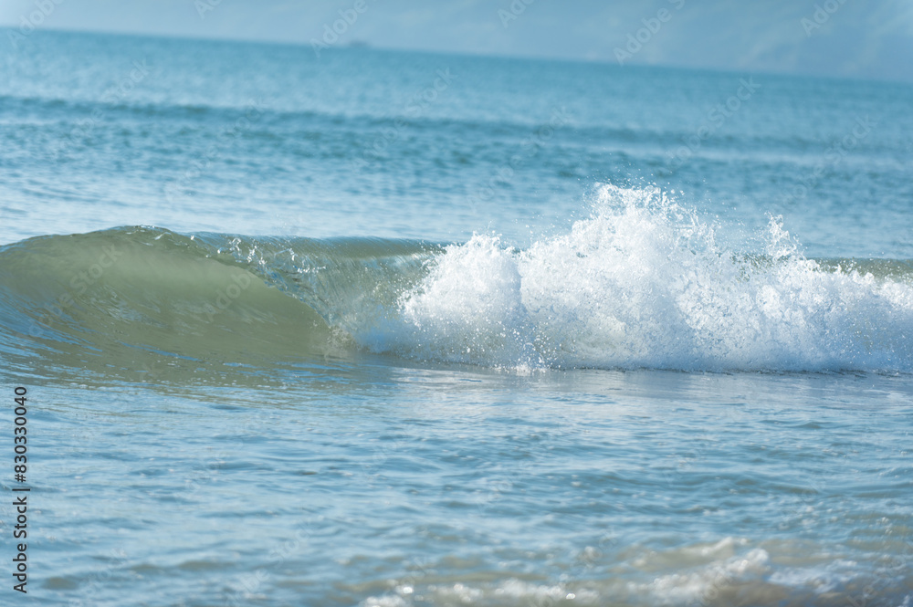 Fototapeta premium 砂浜と波