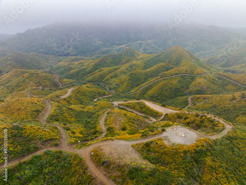 Aerial view of flower mountains