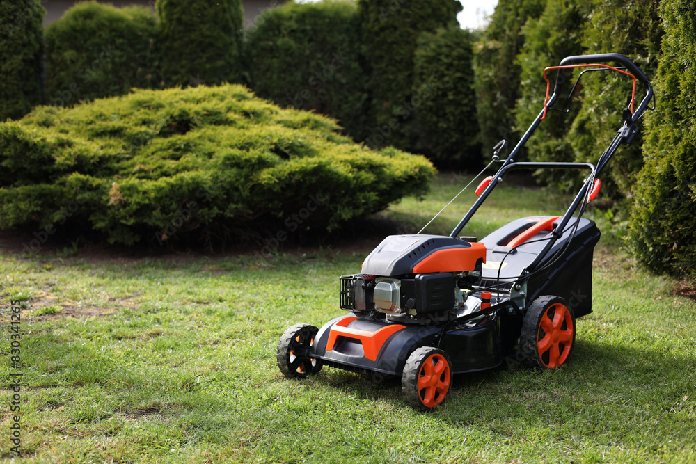 Fototapeta premium Modern lawn mower on green grass in garden