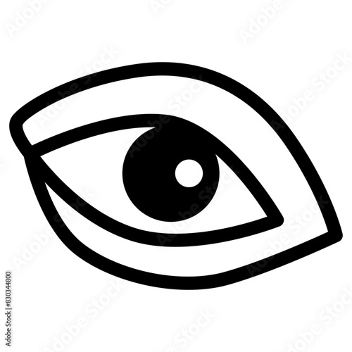 Eye