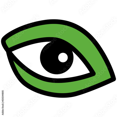 Eye