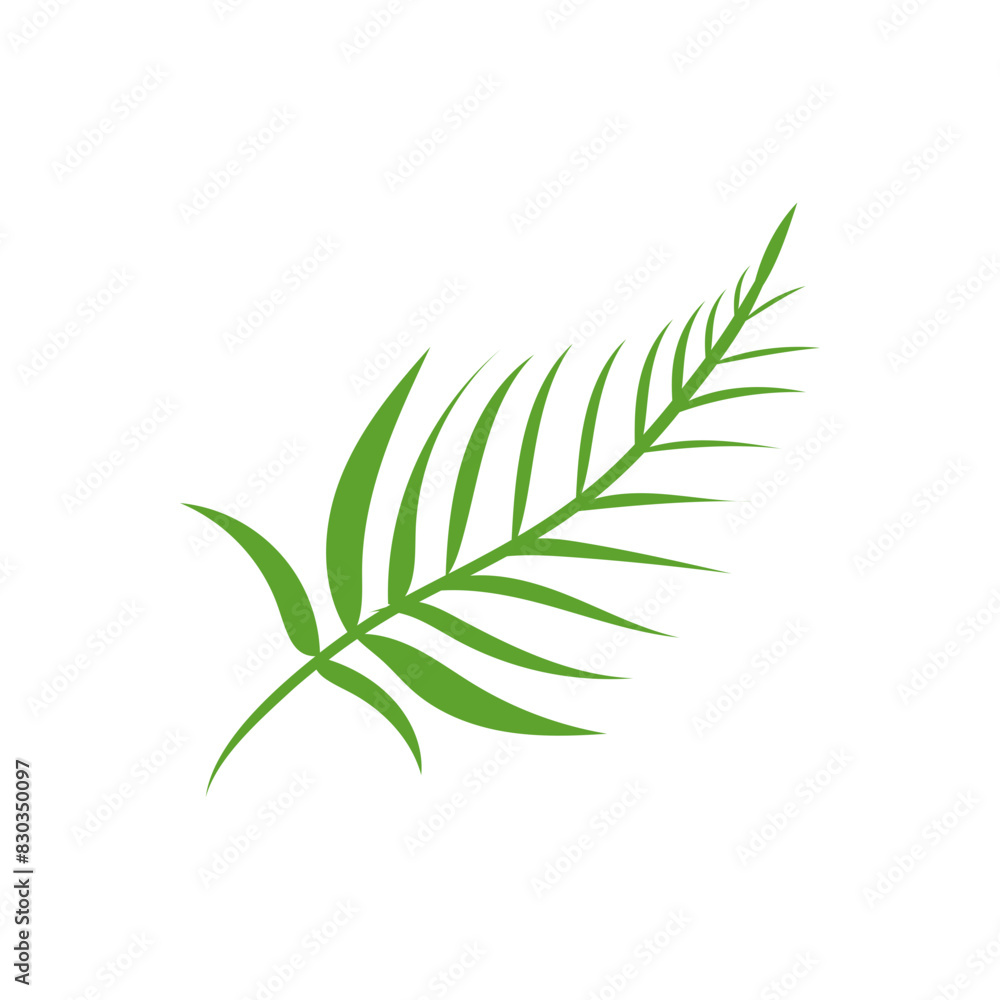 green leaves on white background green leaves on white background
