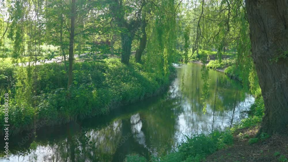 Picturesque Park In England River Under Willow Trees Picturesque Park In England River Under Willow Trees