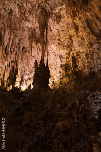 Rock formations in Carlsbad Caverns National Park  New Mexico 