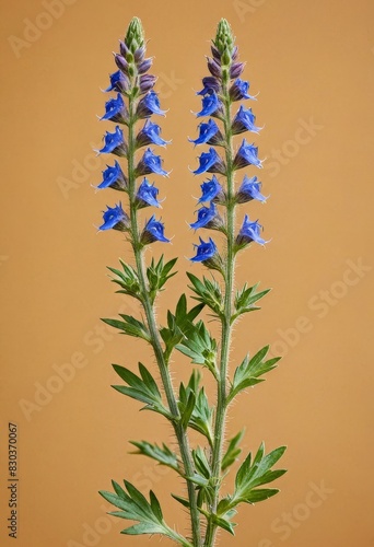 Blue Flowers and Green Leaves on a Tan Background
