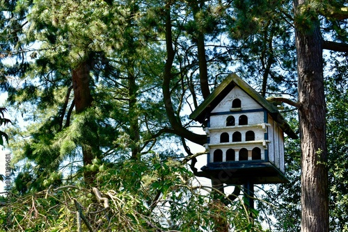Multi-floor white wooden bird-house on a tree in the wood, England, UK  © Olya GY