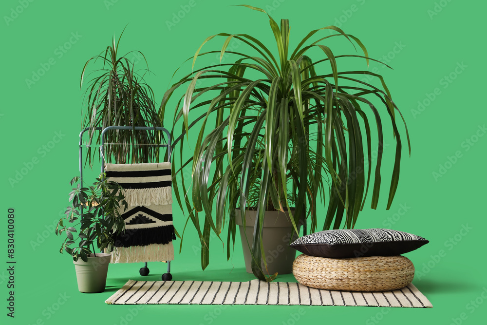 Obraz premium Plants with pouf and rug on green background