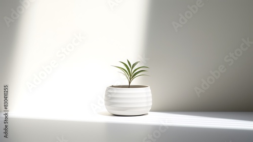 A ceramic flower pot casting a subtle shadow on a solid white backdrop