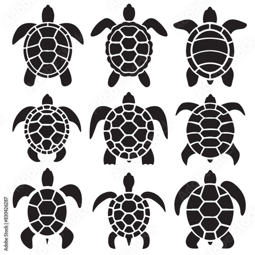 Turtles Vector Set
